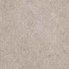 sena gray 25x50