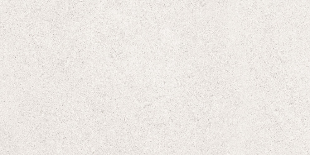sena light gray 25x50