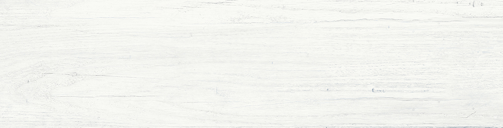 15.5x60.5 Pt Foresta Bianco F10 9677