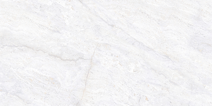 stone light grey 3619 glossy 30x60