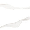 duomo blanco sat. rect. 60x120