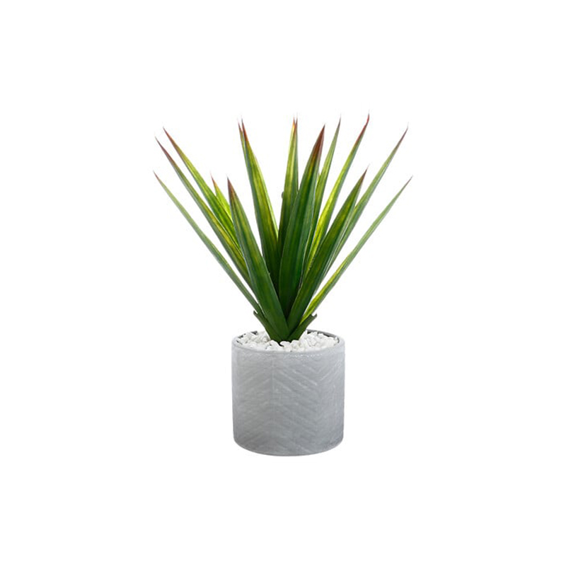 atmosphera aloe vera u saksiji, 47cm