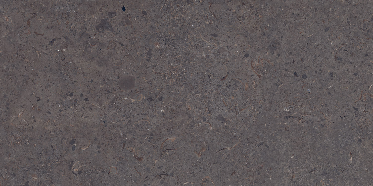 clam shell bone soft matt 60x120 (kopiraj)